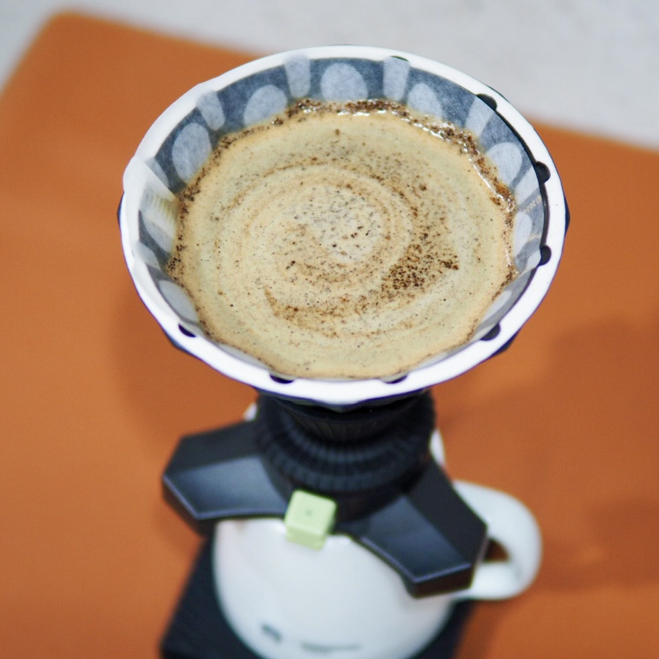 TASTER'S COFFEE CT62 Transit Brewing